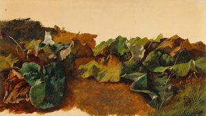 Large Butterburr Leaves and Grass by Gilles-Francois-Joseph Closson Oil Painting