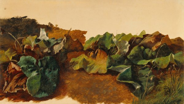 Main Product Photo of Large Butterburr Leaves and Grass  Painting by Gilles-Francois-Joseph Closson