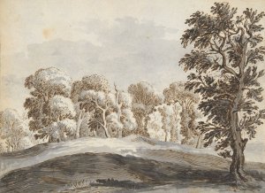 Clump of Trees Beyond Hills by Gillis Neyts Oil Painting