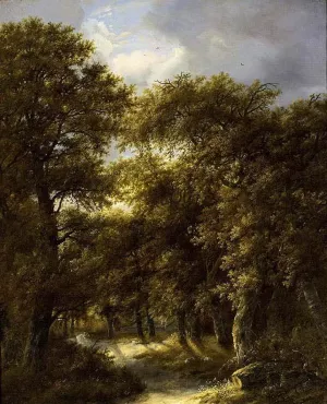 Wooded Landscape by Gillis Rombouts Oil Painting