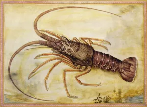 Mediterranean Lobster Oil painting by Giorgio Liberale