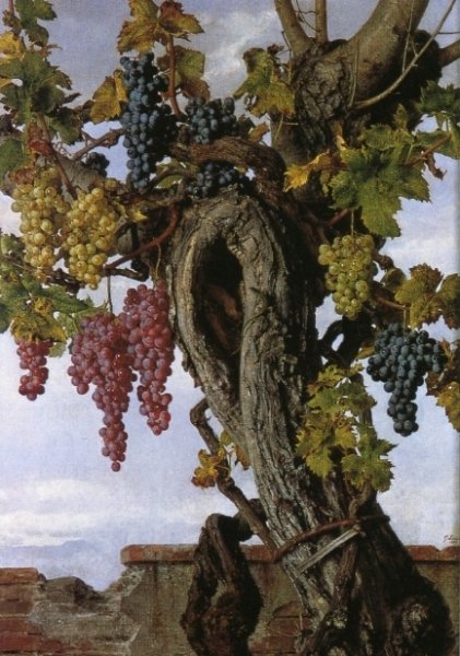 Main Product Photo of Grapevine with a Lizard Painting by Giorgio Lucchesi