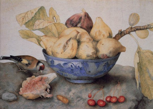 Main Product Photo of China Bowl with Figs, a Bird, and Cherries Painting by Giovanna Garzoni