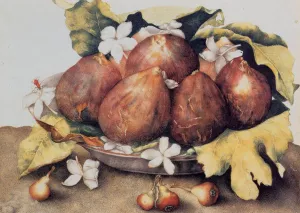 Figs painting by Giovanna Garzoni