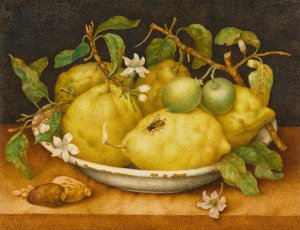 Still Life With Bowl Of Citrons by Giovanna Garzoni Oil Painting
