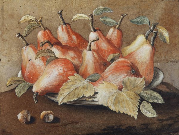Main Product Photo of Stilleben Mit Birnen Und Haselnussen Painting by Giovanna Garzoni