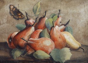 Stillleben Mit Birnen Und Einem Schmetterling by Giovanna Garzoni Oil Painting