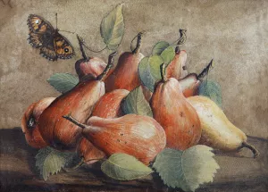 Stillleben Mit Birnen Und Einem Schmetterling by Giovanna Garzoni Stillleben Mit Birnen Und Einem Schmetterling by Giovanna Garzoni Oil Painting