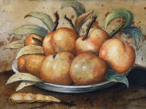 Stillleben Mit Pfirsischen Und Johannisbrot by Giovanna Garzoni Oil Painting