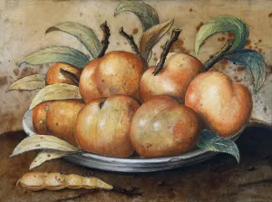Stillleben Mit Pfirsischen Und Johannisbrot by Giovanna Garzoni Stillleben Mit Pfirsischen Und Johannisbrot by Giovanna Garzoni Oil Painting