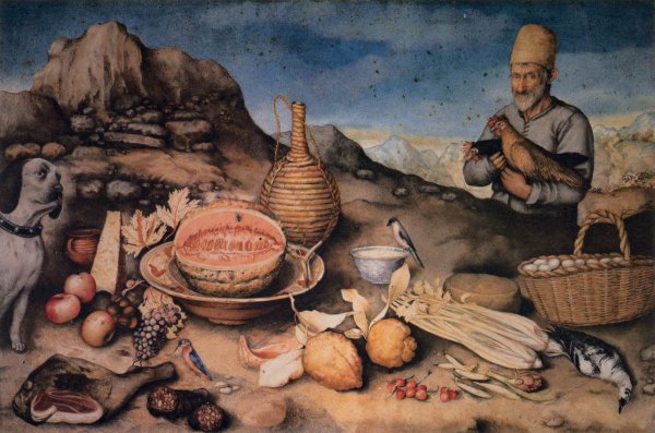 Main Product Photo of The Man from Artemino Painting by Giovanna Garzoni