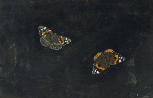 Zwei Schmetterlinge by Giovanna Garzoni Oil Painting