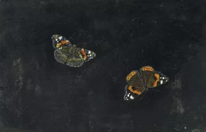 Zwei Schmetterlinge by Giovanna Garzoni Zwei Schmetterlinge by Giovanna Garzoni Oil Painting