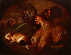Hens and Guinea Pigs by Giovanni Agostino Cassana Oil Painting