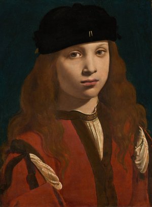 Portrait of a Youth by Giovanni Antonio Boltraffio Oil Painting
