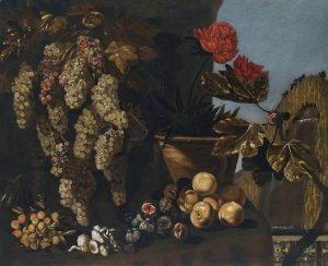 Still Life With Hanging Grapes On The Vine, Figs And Fungi In A Garden Setting by Giovanni Battista Ruoppolo Oil Painting