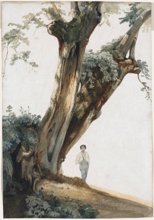 Ancient Trees in the Roman Campagna by Giovanni Costa Oil Painting