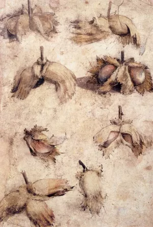 Studies of Nuts painting by Giovanni Da Udine