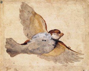 Study of a Flying Sparrow