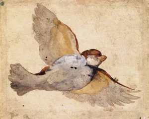 Study of a Flying Sparrow by Giovanni Da Udine - Oil Painting Reproduction