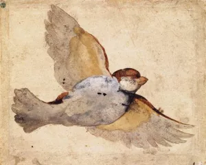 Study of a Flying Sparrow Oil painting by Giovanni Da Udine