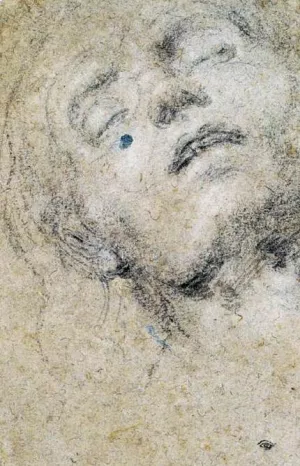 Head of a Man by Giovanni Girolamo Savoldo Oil Painting