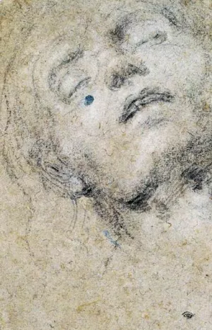 Head of a Man Oil painting by Giovanni Girolamo Savoldo