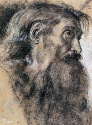 Head of St Jerome by Giovanni Girolamo Savoldo Oil Painting