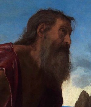 St Jerome Detail Oil painting by Giovanni Girolamo Savoldo