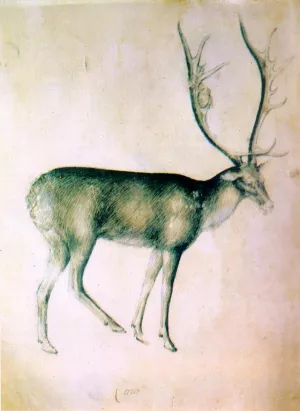 Stag from a Sketch-Book by Giovannino De' Grassi - Oil Painting Reproduction