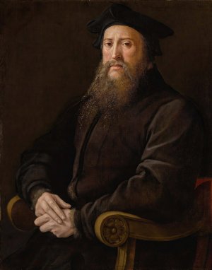 Portrait Of A Gentleman by Girolamo Mazzola Bedoli Oil Painting