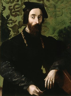 Portrait of a Musician by Girolamo Mazzola Bedoli Oil Painting