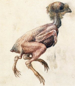 Study of a Featherless Three-Footed Chick by Giuseppe Arcimboldo Oil Painting