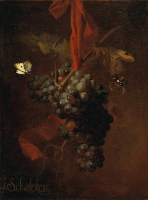 Bunch of Grapes by Godfried Schalcken Oil Painting