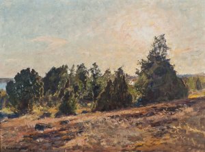 Towards Evening. HorsO in The Tjust archipelago by Gottfrid Kallstenius Oil Painting