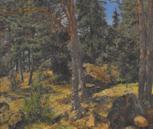 A Fir Bank by Gottfrid Samuel Nickolaus Kallstenius Oil Painting