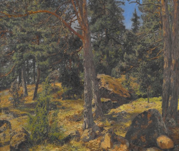 Main Product Photo of A Fir Bank Painting by Gottfrid Samuel Nickolaus Kallstenius