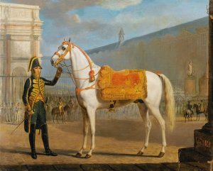 Sara, Napoleon's Horse by Gottlob Alexander Sauerweid Oil Painting