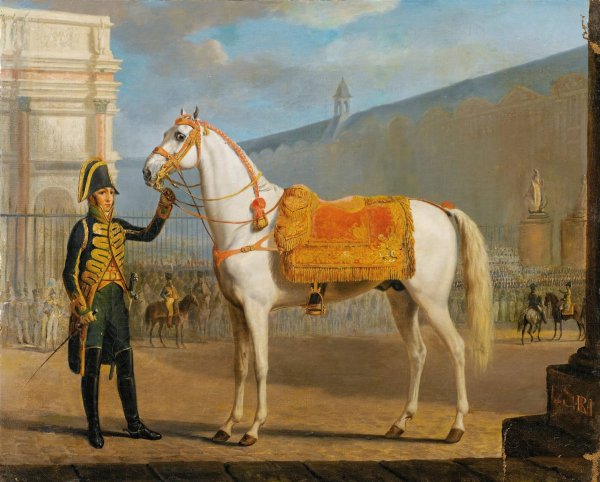 Sara, Napoleon's Horse by Gottlob Alexander Sauerweid - Hand-Painted Oil Painting Reproduction