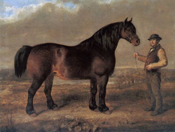 Prize Clydesdale Mare by Gourlay Steell - Hand-Painted Oil Painting Reproduction
