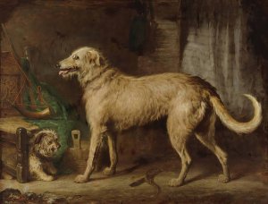The Hunting Hound by Gourlay Steell Oil Painting