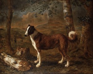 Dog and a Birch Log by Govert Dircksz Camphuysen Oil Painting
