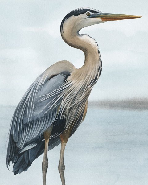 Main Product Photo of Back Bay Heron I Painting by Grace Popp