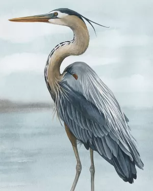 Back Bay Heron II Oil painting by Grace Popp