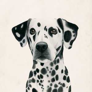 Best Bud II by Grace Popp Oil Painting