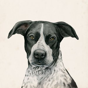 Best Bud IV by Grace Popp Oil Painting