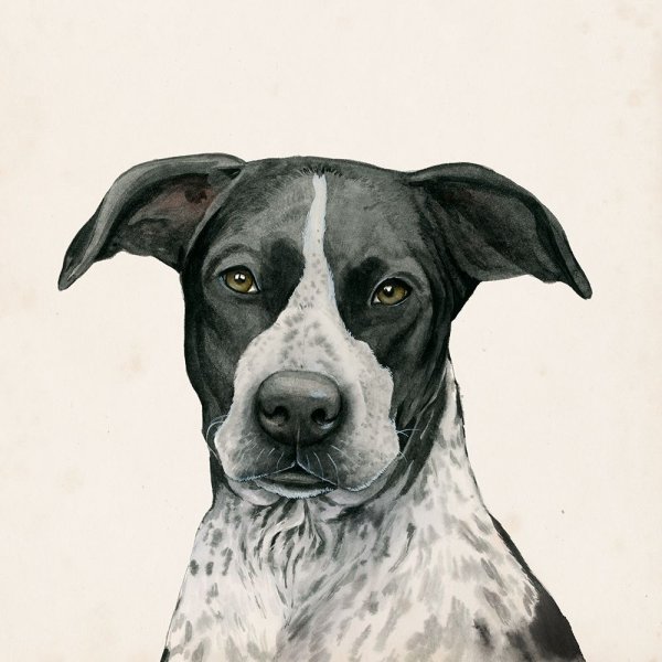 Best Bud IV by Grace Popp - Hand-Painted Oil Painting Reproduction