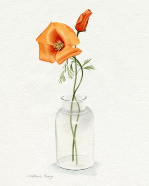 California Poppy Vase I by Grace Popp Oil Painting