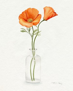 California Poppy Vase II by Grace Popp Oil Painting