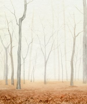Fall in the Forest I Oil painting by Grace Popp